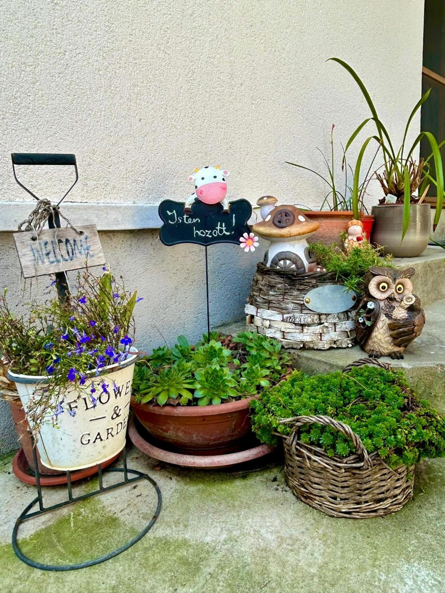 Julia Apartmanhaz ฮอร์กานี ภายนอก รูปภาพ